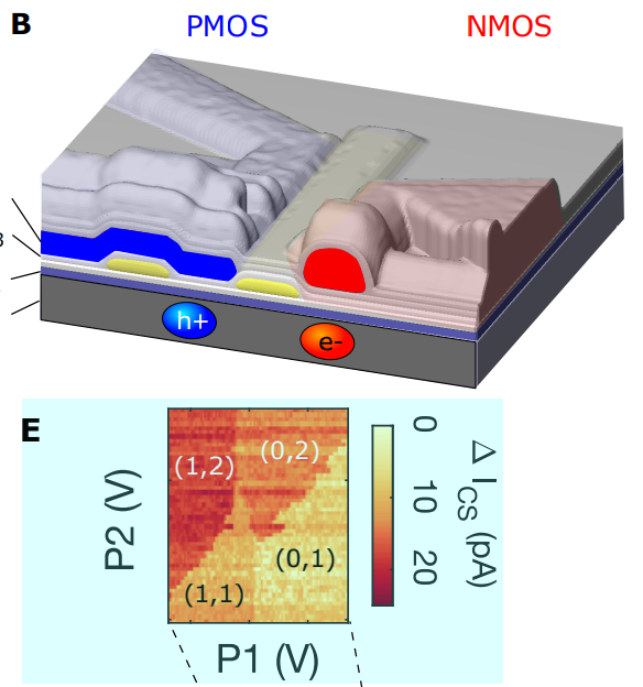 QEDUNSW's tweet photo. Our work with Andrew Dzurak's @UNSWEngineering  team combining electron sensors and hole quantum dots for spin qubits has gone up on the arxiv https://t.co/8uV4YlDN2n 
#unswscience https://t.co/XzSicDI7zS
