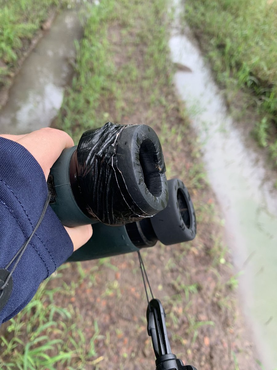 In the field, I’m eternally grateful for having inherited my Grampa’s skill for fixing anything from nothing + a thing I found on the ground/in the bin #fieldworkhack #alwayscarryducttape #ziptiesftw