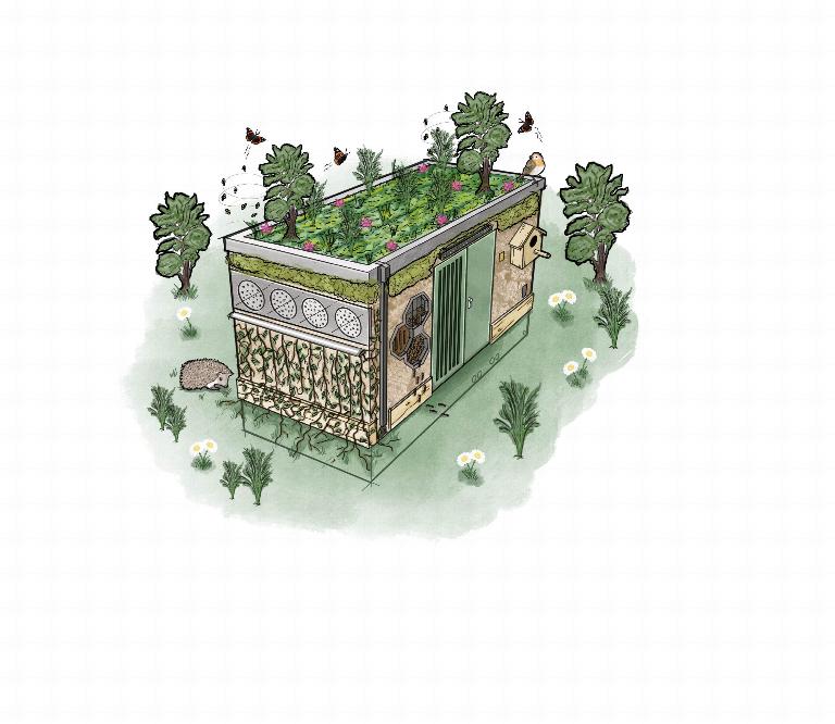 Grastegels, een natuurdam en fauna-sensors; aan de hand van een aantal richtlijnen kunnen kleine bouwwerken omgetoverd worden tot een groene oase. Maar hoe? naturalis.nl/volg-onze-verh…