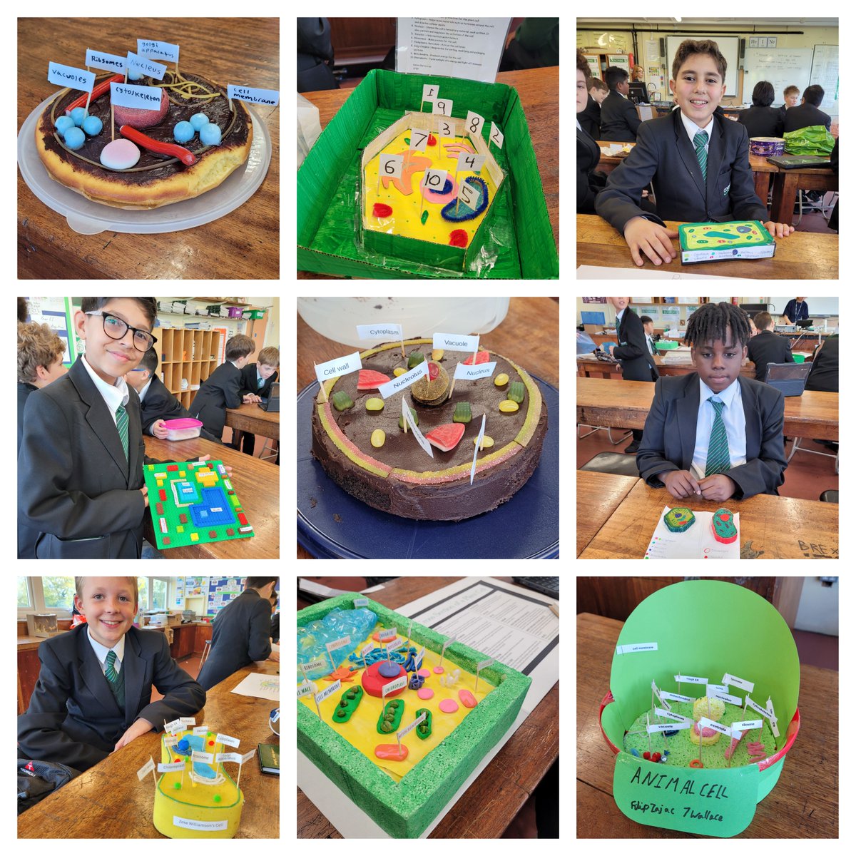CoombeBoysNews's tweet photo. Amazing creative work from 7FBY who have been learning about cells in science. Here are just some of their cell models made from cake, pizza, sponge, lego and more. #CBSScienceTeam https://t.co/Os6PKtyA5c