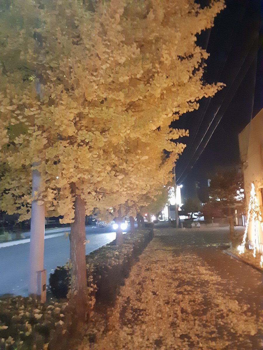 kouziwada's tweet photo. 晩秋の北海道の夜を
堪能中
#いまそら 
#北海道 https://t.co/uS1mIUmKGC