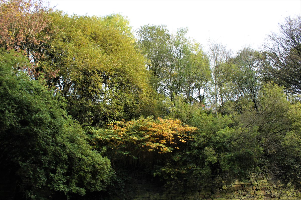 Keys Group tweet media