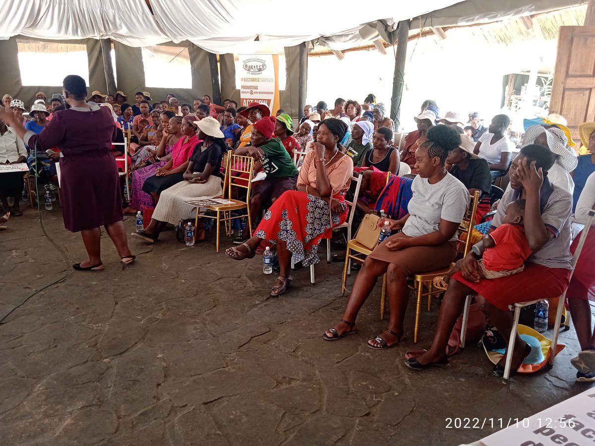 Women's Coalition of Zimbabwe tweet media