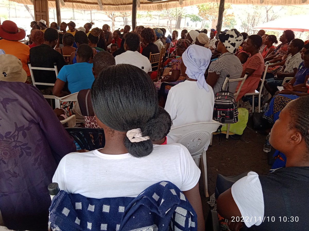 Women's Coalition of Zimbabwe tweet media