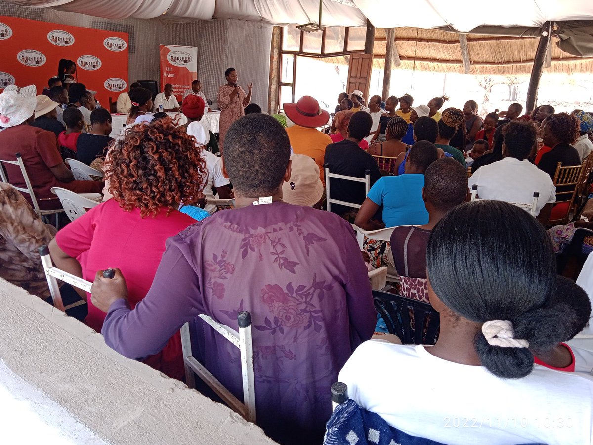 Women's Coalition of Zimbabwe tweet media