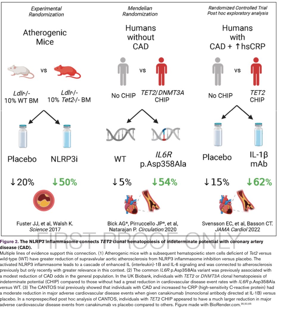 Pradeep Natarajan tweet media