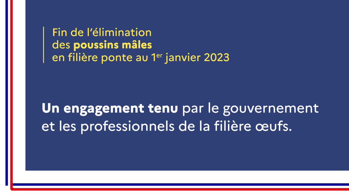 Engagement pris, engagement tenu !
A compter du 1er janvier 2023, plus aucun poussin mâle destiné à la production des œufs coquille ne sera éliminé.