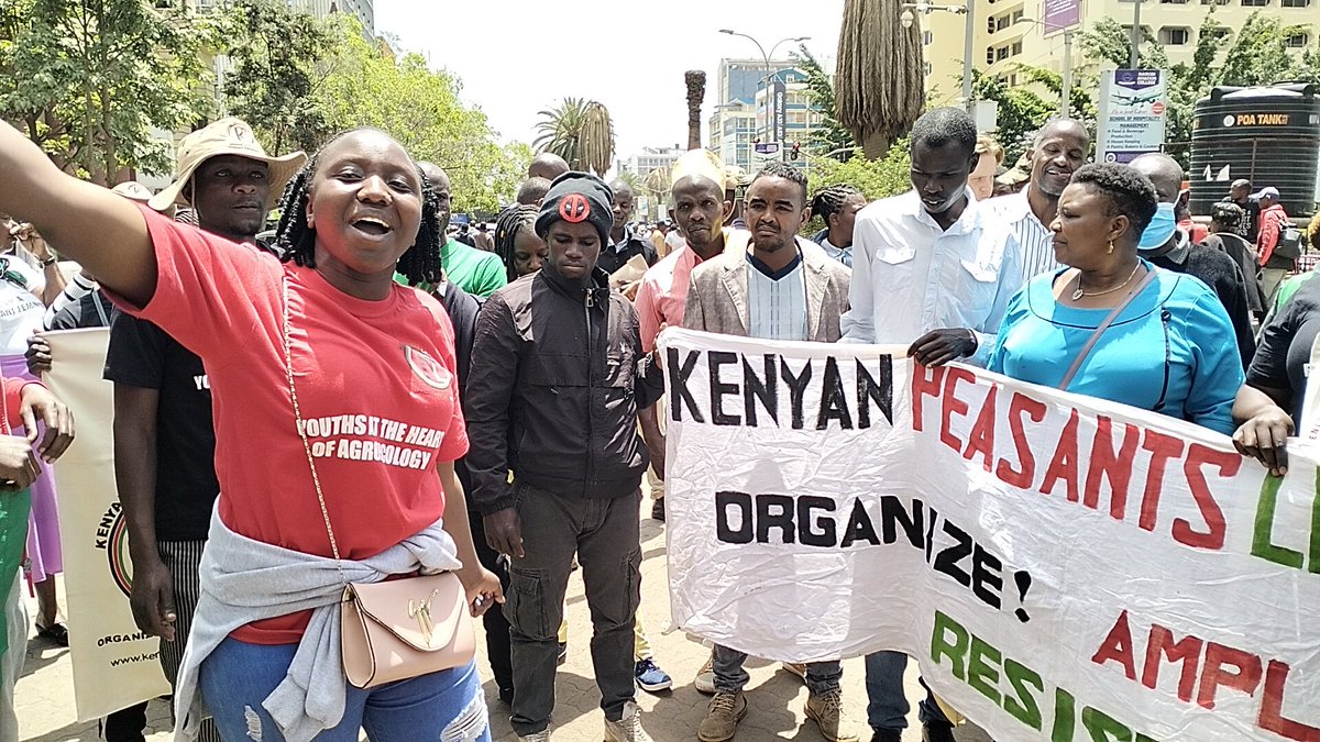 Cidi Otieno tweet media
