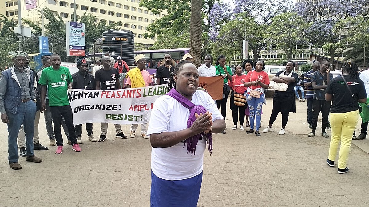Cidi Otieno tweet media