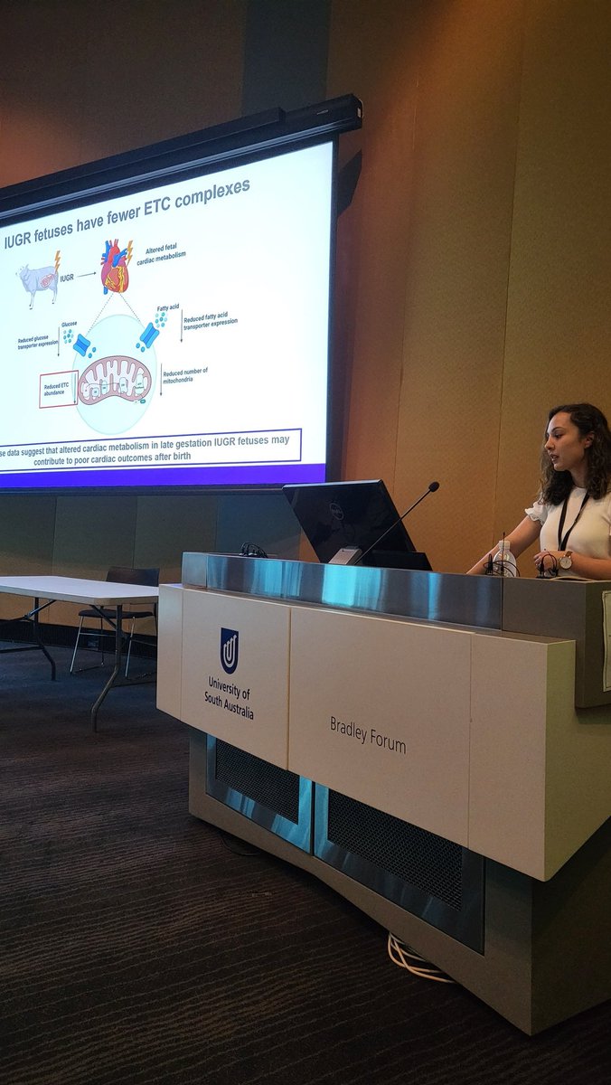 Sarah_Hammond_'s tweet photo. A very successful day 1 of #DOHaDANZ_2022, showcasing the fab research happening in the #DOHaD space! (including some very cool work coming out of our lab at @UniversitySA 
@CatherineDimasi @ProfessorJanna @bennett_milly 🤰🐑🧲) https://t.co/eJXl7Z2NQA