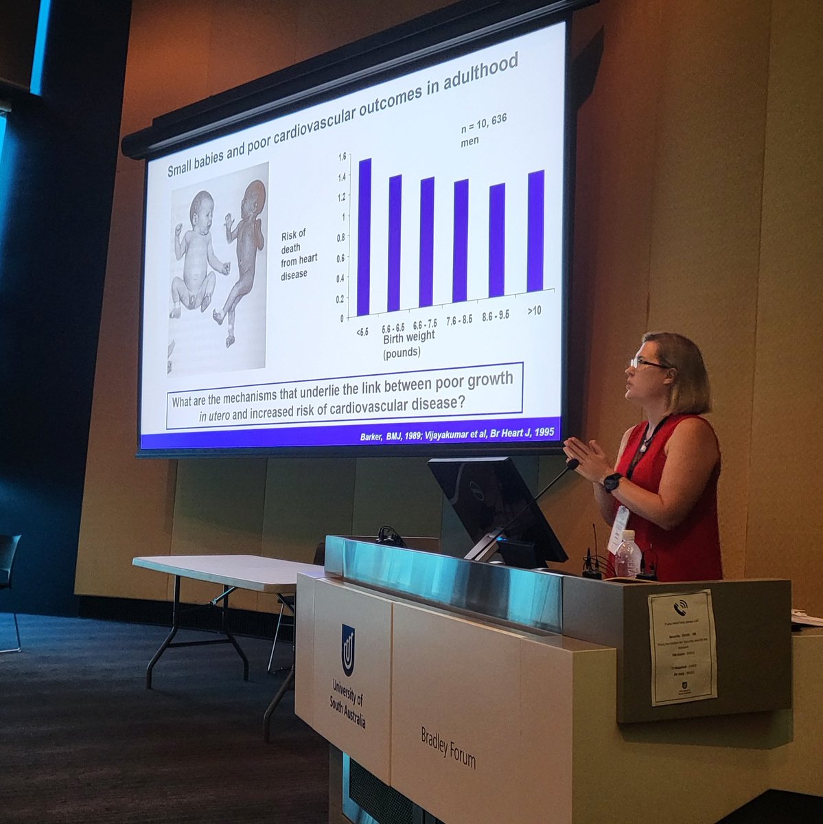 Sarah_Hammond_'s tweet photo. A very successful day 1 of #DOHaDANZ_2022, showcasing the fab research happening in the #DOHaD space! (including some very cool work coming out of our lab at @UniversitySA 
@CatherineDimasi @ProfessorJanna @bennett_milly 🤰🐑🧲) https://t.co/eJXl7Z2NQA