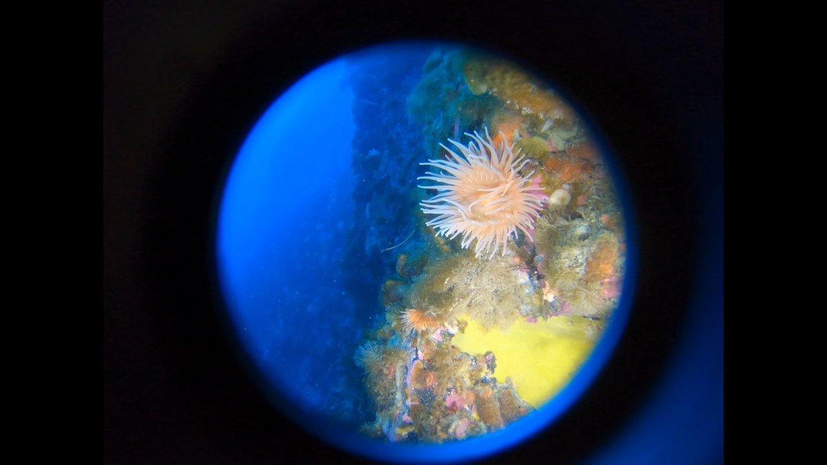 Bonner Lab tweet media