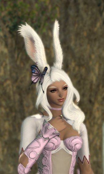 AmbreZip's tweet photo. 🐇 is a rider 🎶 https://t.co/dp9uTb7jvQ
