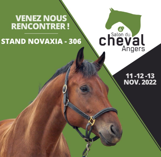 pmu's tweet photo. Venez rencontrer les équipes @pmu @EcoleAFASEC @CourseshippAMCO au Salon du cheval d’@Angers, pour découvrir les courses hippiques à travers la formation, les métiers, le bénévolat, la contribution socio-économique des paris hippiques, le bien-être équin et la reconversion https://t.co/671MmHd9PW