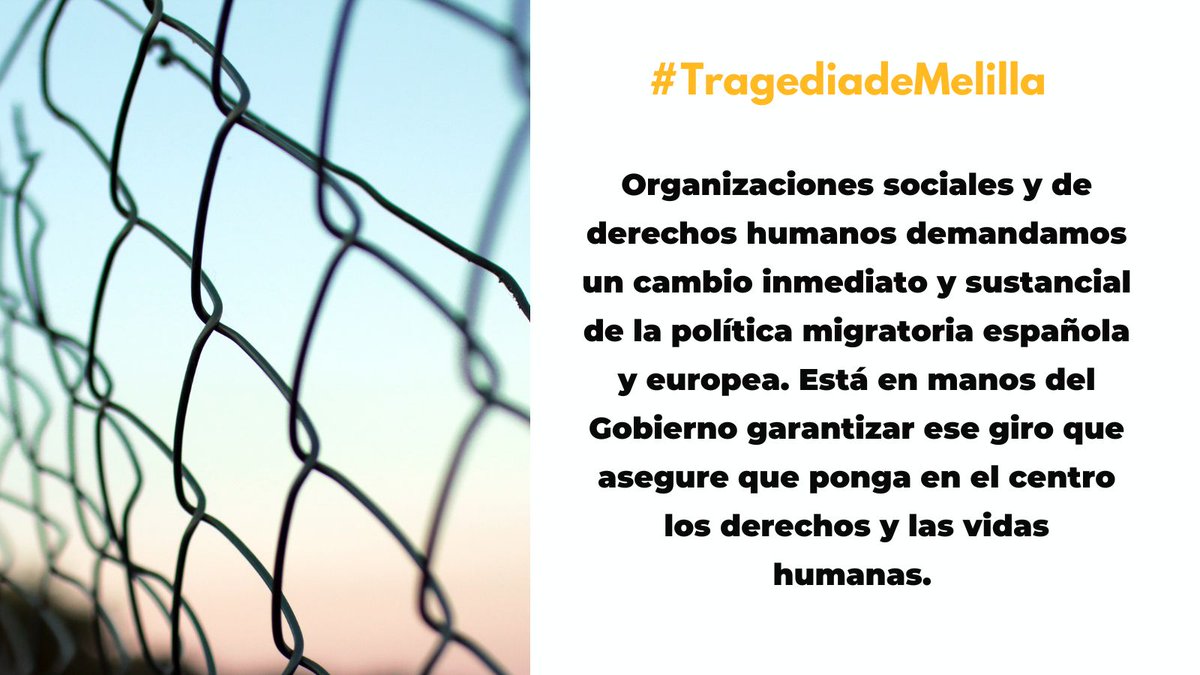 andaluciaacoge's tweet photo. 1/5🧵👇Tras la #tragediadeMelilla, varias entidades sociales enviamos el 5 de julio una carta a @sanchezcastejon exigiendo “una investigación independiente e inmediata para esclarecer los hechos y depurar responsabilidades".   

🔗Lee la carta completa: https://t.co/qjCZlWVCw7 https://t.co/cXIRqEHT03