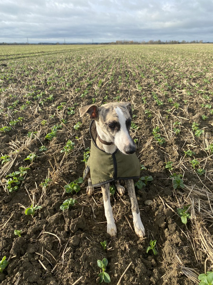 Winter beans absolutely flying! 💪☀️