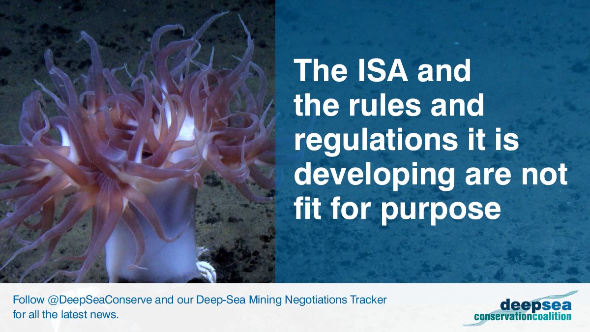 DeepSeaConserve's tweet image. The international seabed makes up part of our global commons - it belongs to all of us. @ISBAHQ should be a body that represents humanity and in which all of us can trust to #DefendTheDeep.

This is currently far from the case! #KeepItInTheDeep #ISA27