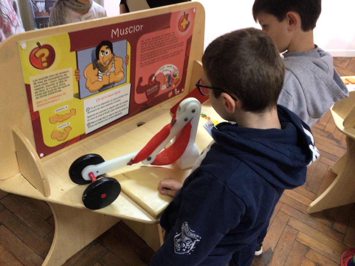 JpFerte's tweet photo. Visite d’une exposition sur les besoins et le fonctionnement du corps humain à la médiathèque de la Ferté Macé pour les CM1 et CM2. #sciences https://t.co/sjzdWdPVq4