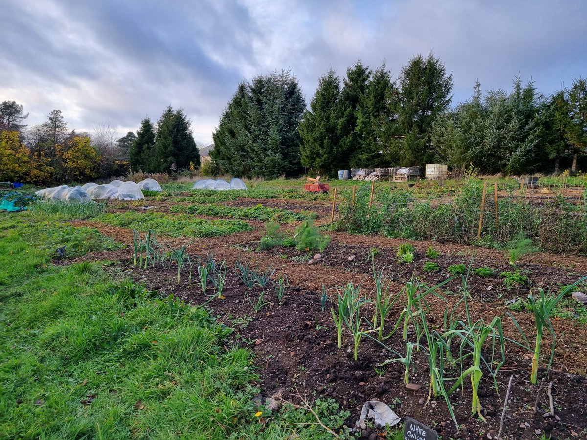 We were out meeting F&amp;D businesses in Forfar and Kirriemuir on Wed 9 Nov with <a href="/appetite4angus/">Appetite for Angus</a>, hearing about the tough challenges they are facing with the cost of doing business &amp; rise in energy prices. What was clear, was the appetite to work with other businesses &amp; community.