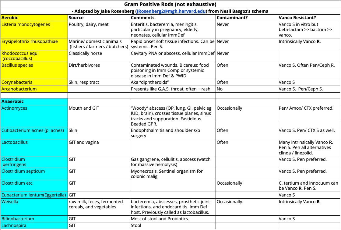 Summary for gram positive rods, with vancomycin resistant bugs.