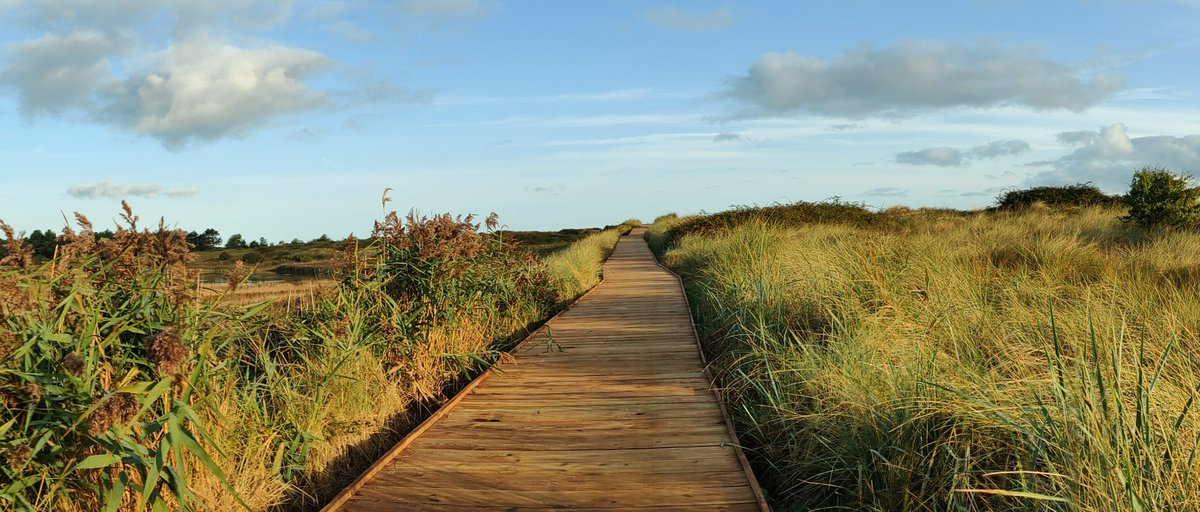 We’re delighted to announce that the Holme boardwalk is now open along the #NorfolkCoastPath between the Norfolk Ornithologists Association (NOA) observatory and Thornham – and we think it is looking absolutely stunning.  
#NorfolkTrails #NationalTrail #NorthNorfolkCoast