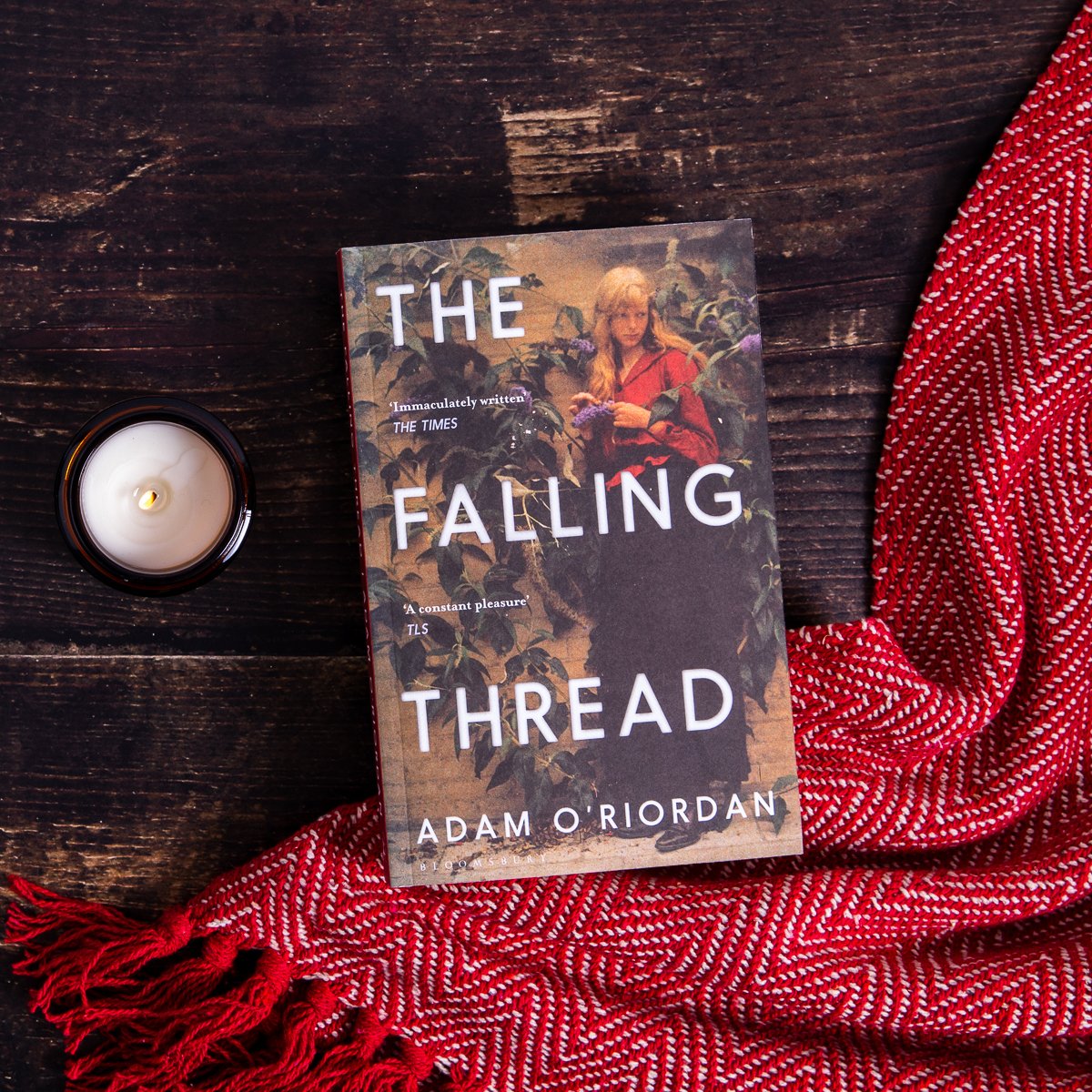 🪡 The Falling Thread – <a href="/oriordanadam/">Adam O'Riordan</a>

A captivating portrait of a family in time, The Falling Thread is a hauntingly evocative debut novel from one of our most exciting literary talents.

Read more: bloomsbury.com/uk/falling-thr…
