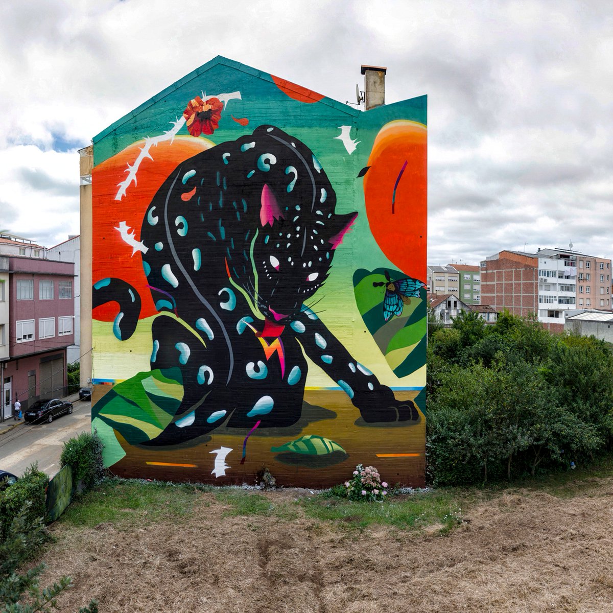 DerrubandoMuros tweet media