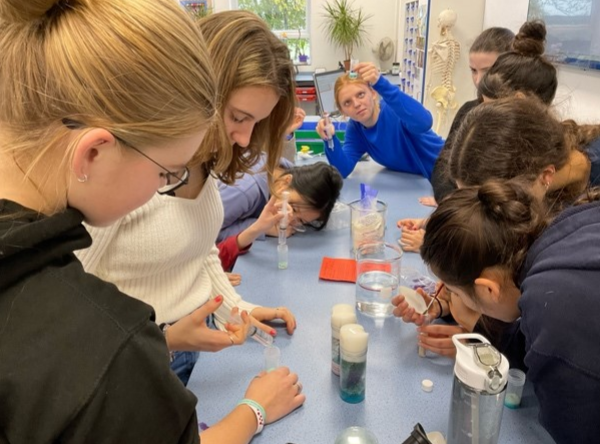 StSwithunsBio's tweet photo. U6 Biology have been studying genetics. Fruit flies are being used to carry out their projects on genetic crosses of the sex-linked eye-colour genes and body types. Using a microscope, the girls are able to record the gender of the fruit flies. #StSwithunsBio #StSwithunsScience https://t.co/ng1dm4yAUH