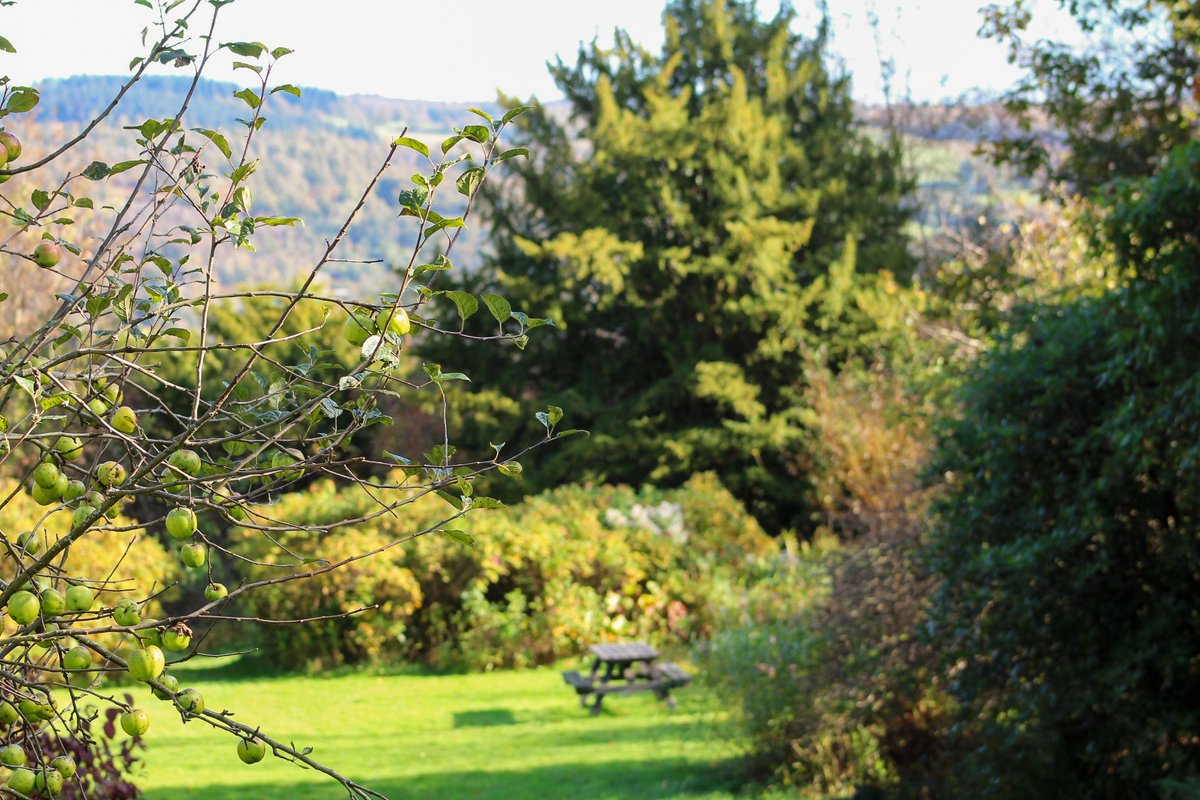 adventureyogi's tweet photo. Farm to table. Our commitment to where our food comes from has never been greater.💚

We want to highlight our beautiful Lake District venue, which manages the land organically and sustainably in order to protect and preserve wildlife.

Join us!
https://t.co/KQMyiW7fCr https://t.co/Jdd2t8l1U8