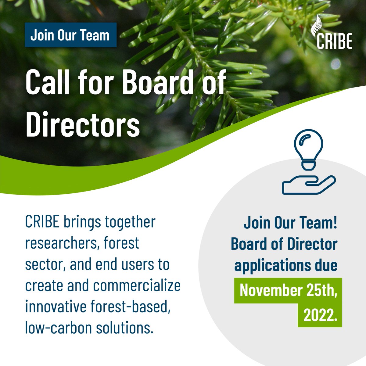 CRIBE brings together researchers, forest sector and end users to commercialize innovative forest-based, low-carbon solutions. 

Do you have experience along the forest bio-economy value chain? We're looking to fill vacancies on our Board of Directors!

lnkd.in/eUfbNnuk