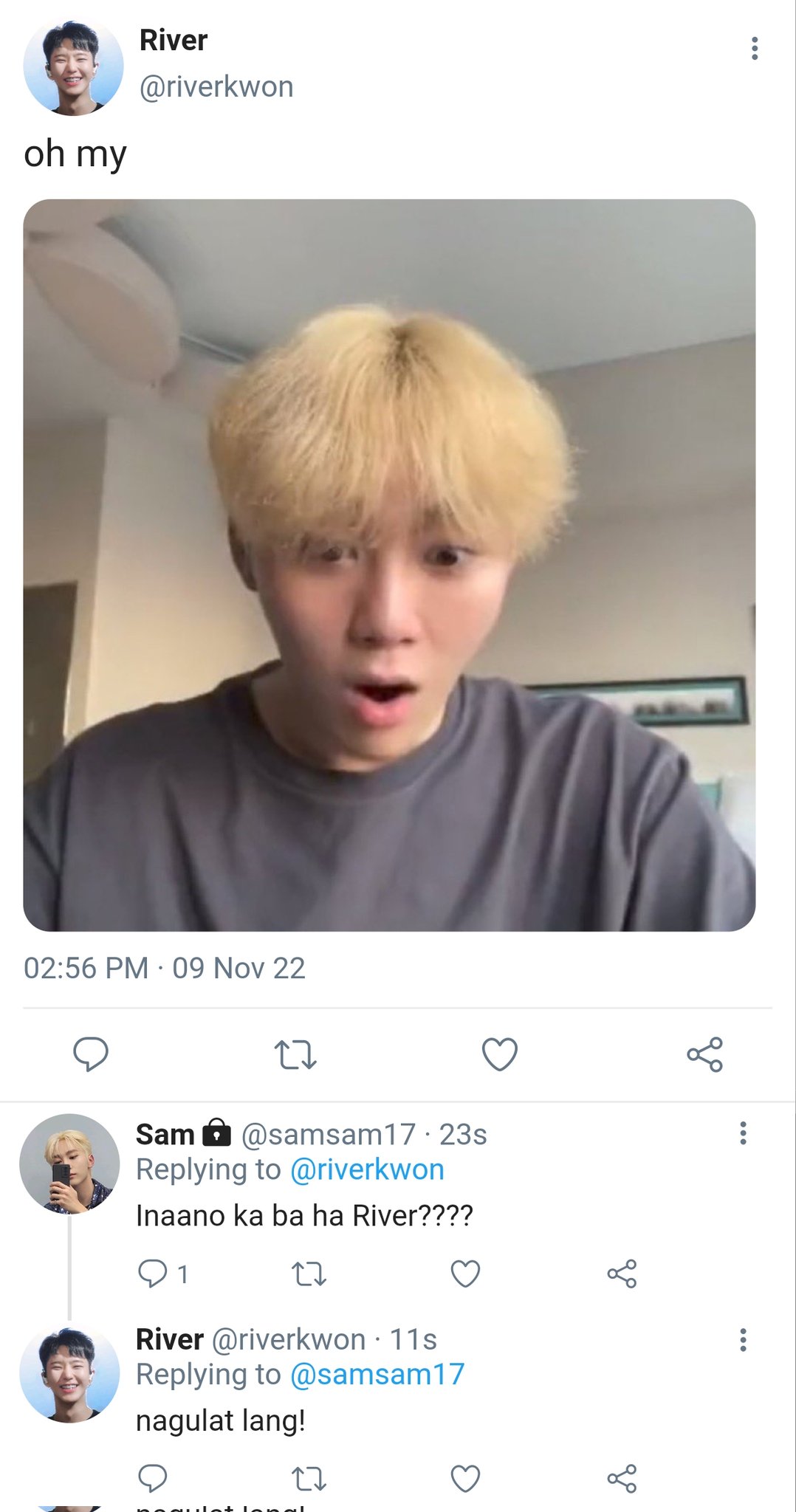 air-is-a-mushroom-on-twitter-310-https-t-co-3dy9ff3pyb-twitter