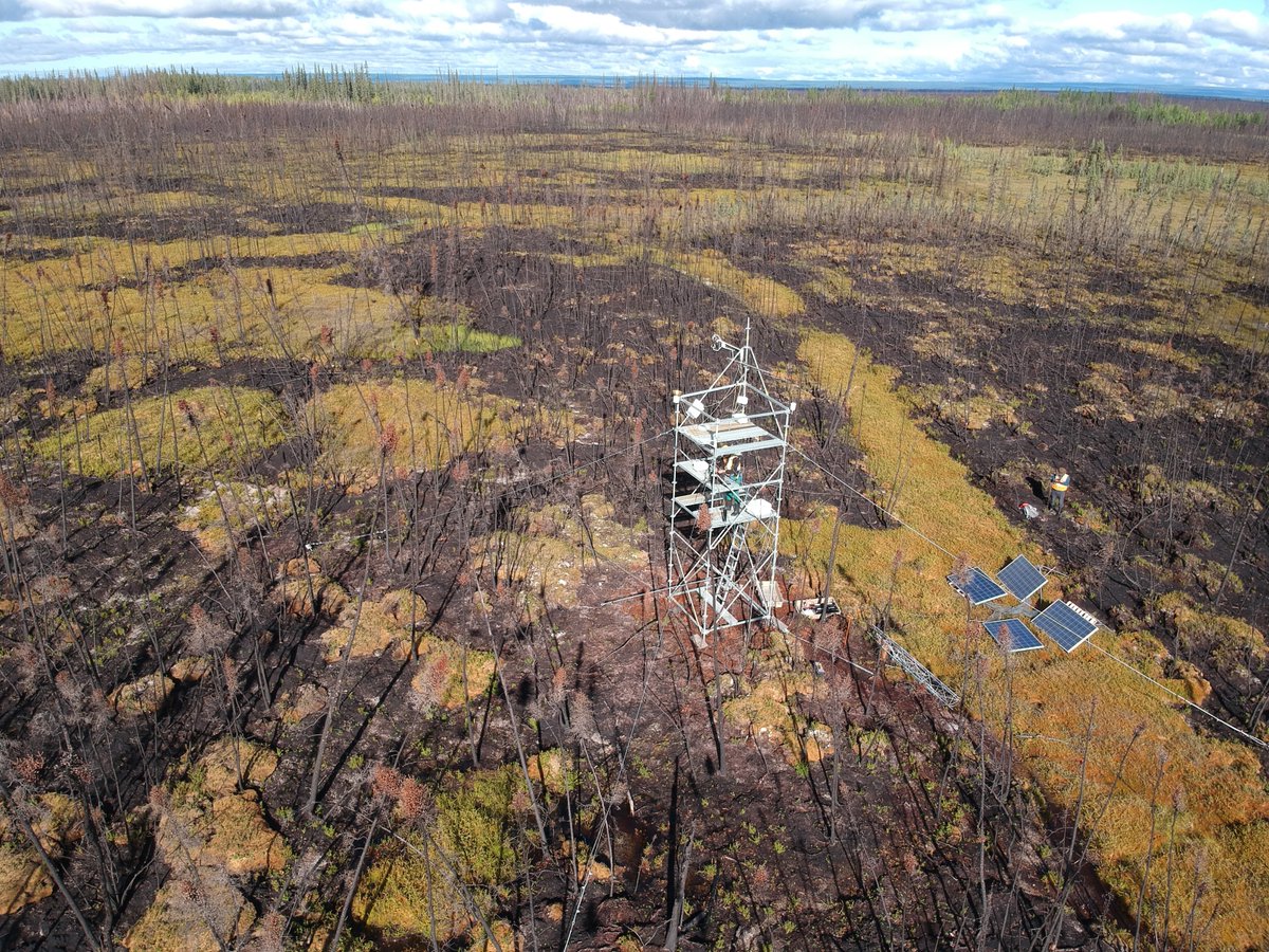 UASustain's tweet photo. .@DavidOlefeldt and his research team explore the unique peatland landscapes of northern Alberta and the NWT to learn just how much these areas contribute to Canada's carbon footprint. Story:https://t.co/DHlECU7moJ https://t.co/2H5aRxlgjn