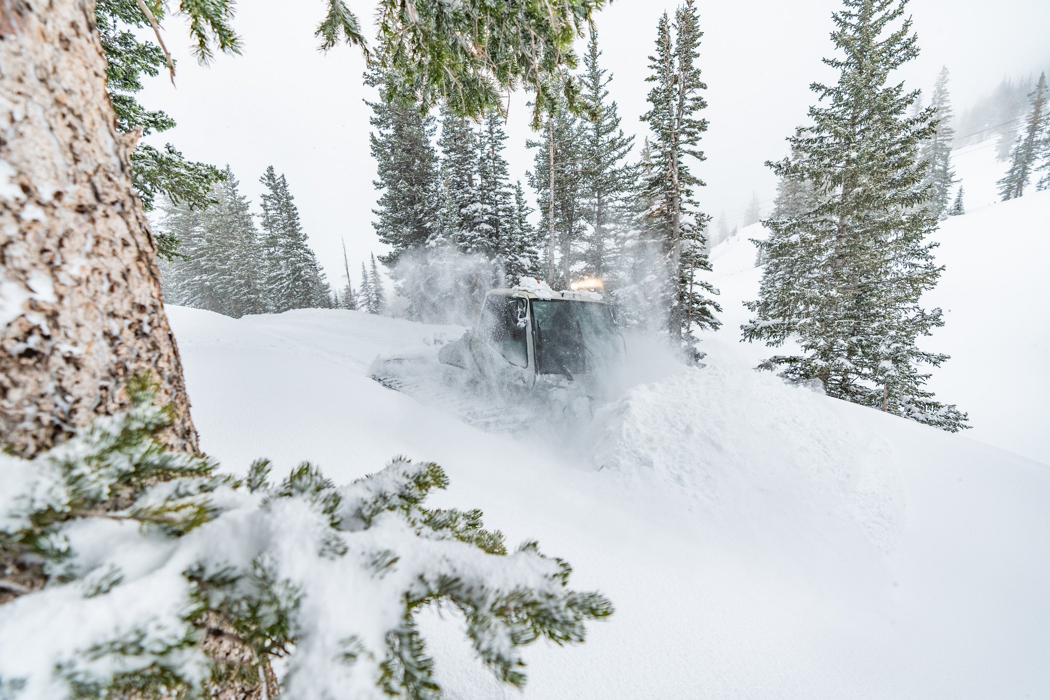 Snowbird on Twitter "🚨 New Opening Day Alert Next Friday. 🚨 You asked