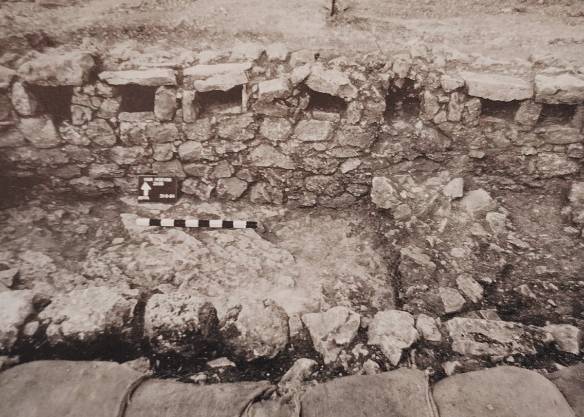 Es posible que hayáis visto algún castillo de las Cruzadas. Pero seguro que nunca habéis visto un gallinero de las Cruzadas. Este apareció en una granja franca cerca de Jerusalén, hacia 1100.