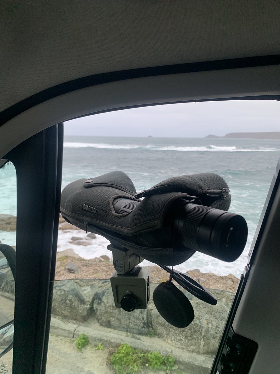 Weekendbirder's tweet image. 