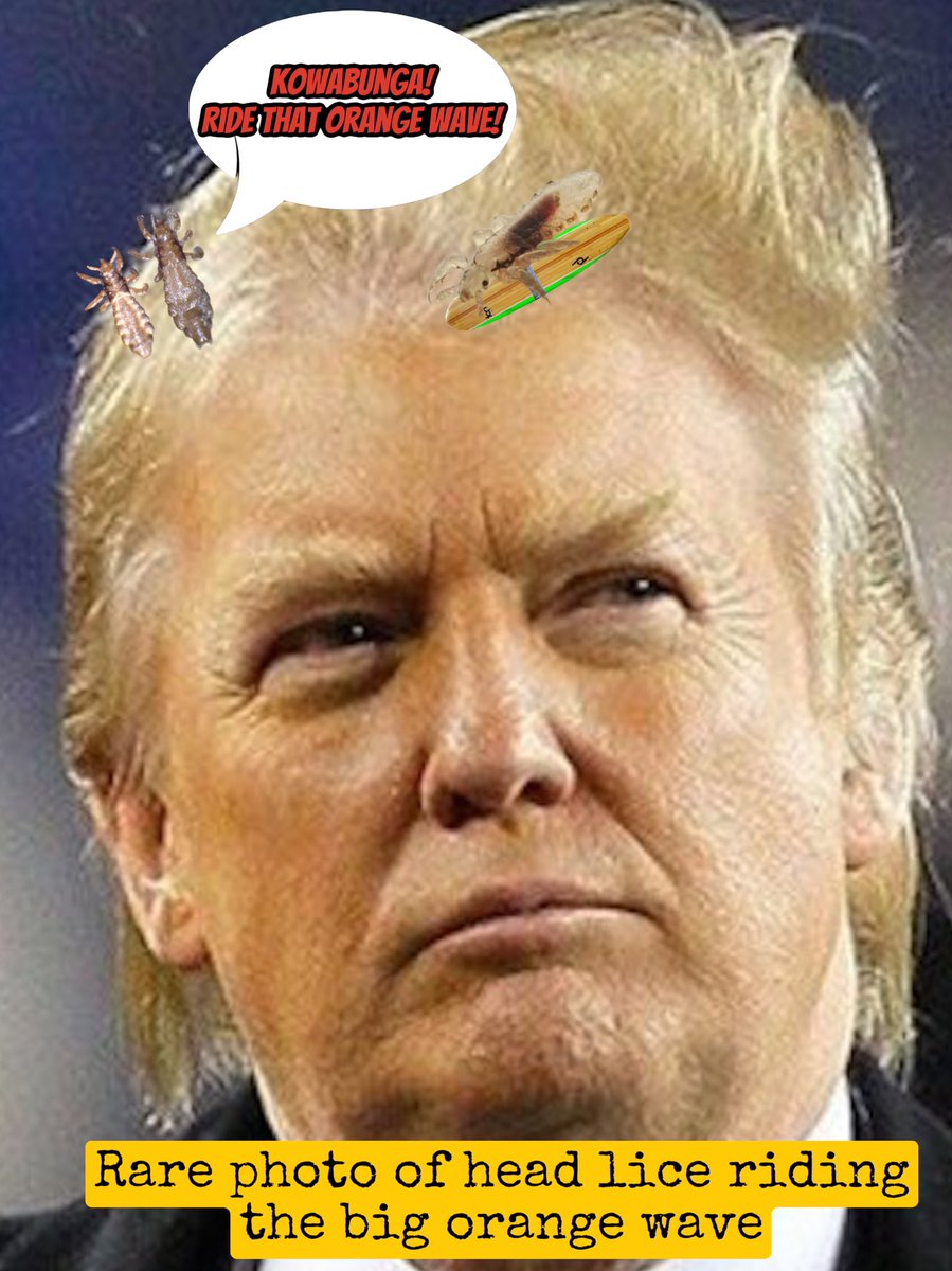 HenryQrugged's tweet image. Abe the #nitPicker #PatsyForWhiteEntitlement