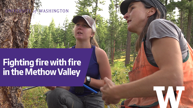 uwnews's tweet photo. “It’s not a matter of if, it’s when,” said @UW fire ecologist Susan Prichard of wildfires in the Methow Valley. “So can we bring in some fire now to prevent destructive fire later?”

More: https://t.co/FrZCWkBiRi

#ForWashington https://t.co/DpAp46nK0M