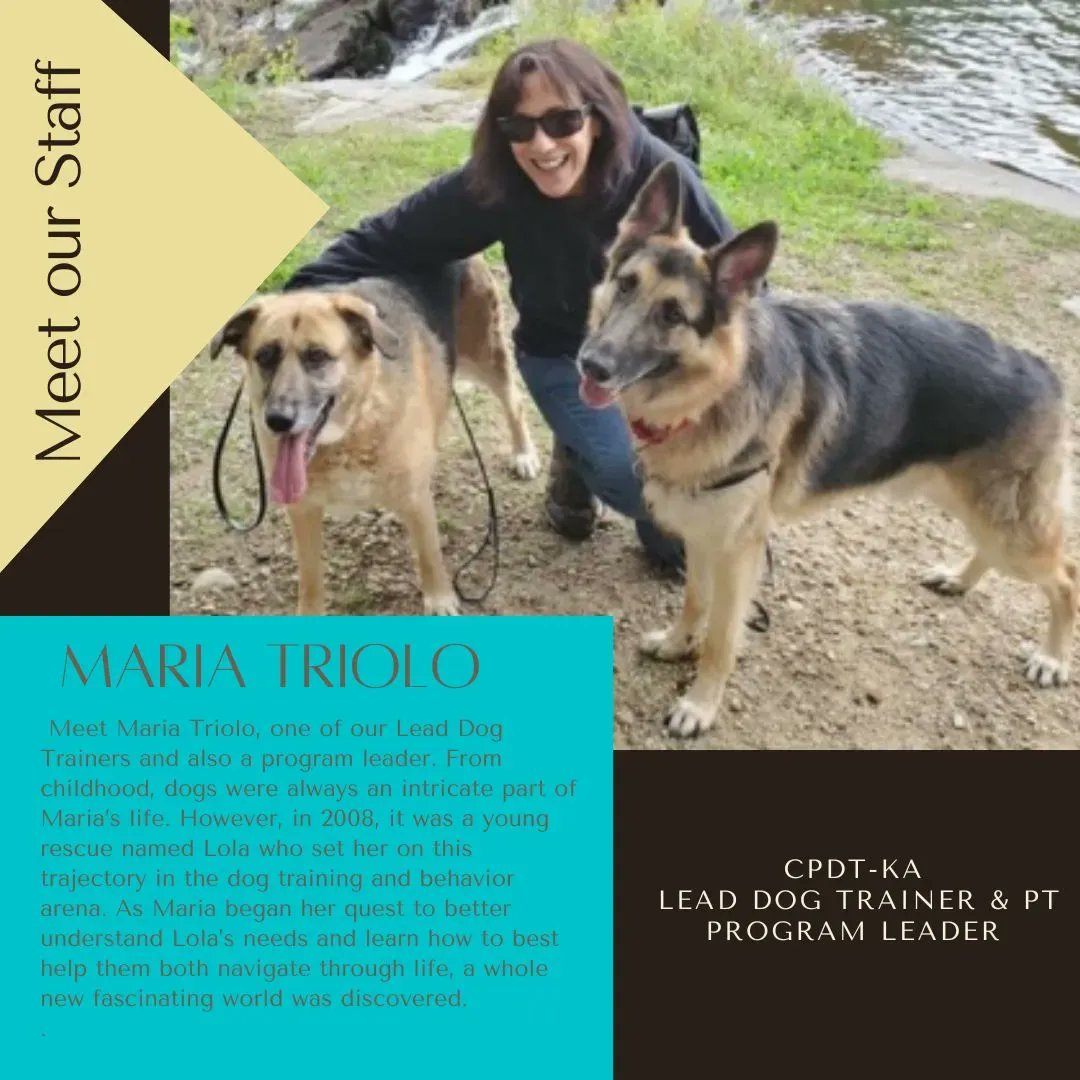 Meet Maria Triolo, Lead Dog Trainer. In 2008, a young rescue named Lola set her on this trajectory in the dog training and behavior arena. 
Visit our website to learn more about our amazing trainers and how we train therapy dogs!
#therapydogs