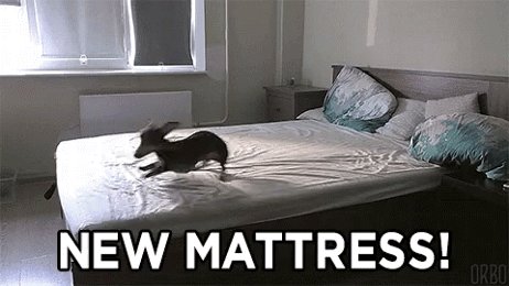 There’s nothing like a new #Classic mattress to put the ZZzz in “zoomies.” #BuiltforDreaming