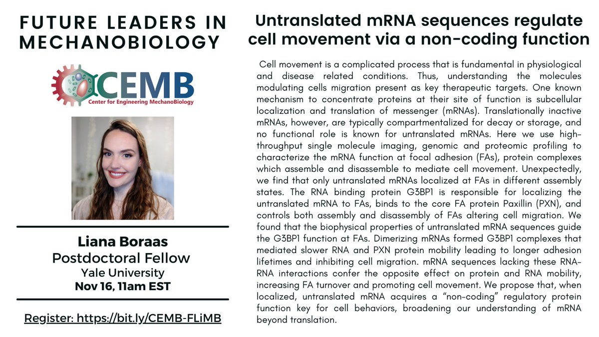 CEMB_STC's tweet photo. We are excited to host @LianaBoraas @Yale for our next Future Leaders in #mechbio talk! Join us next Wednesday, 11/16 @ 11am ET to hear about Liana's work "Untranslated mRNA sequences regulate cell movement via a non-coding function"!
Register here: https://t.co/tpejhjVNK5 https://t.co/5SAD5qxum3