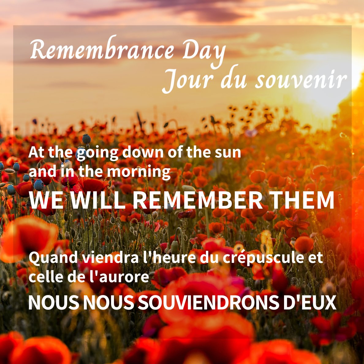 LastPostFund's tweet image. En ce jour du souvenir, nous aimerions nous souvenir de ceux qui ont sacrifié leur vie, en défendant les droits de chacun. Nous nous souviendrons d’Eux.