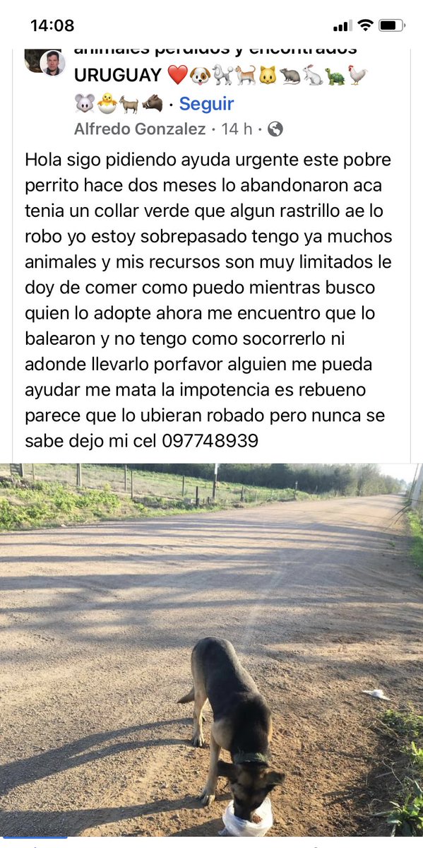 Adriana (@adriana43587622) on Twitter photo 