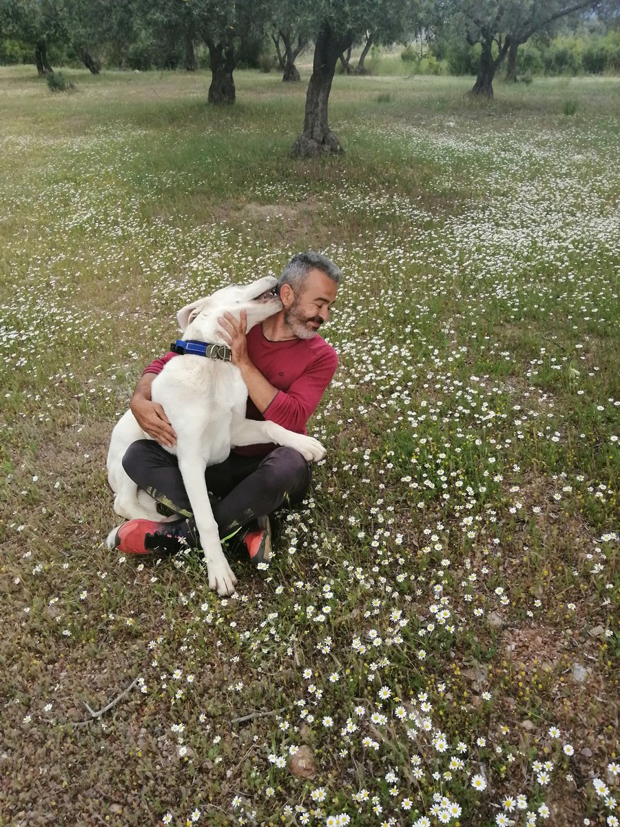 şenol (@enol273662121) on Twitter photo 