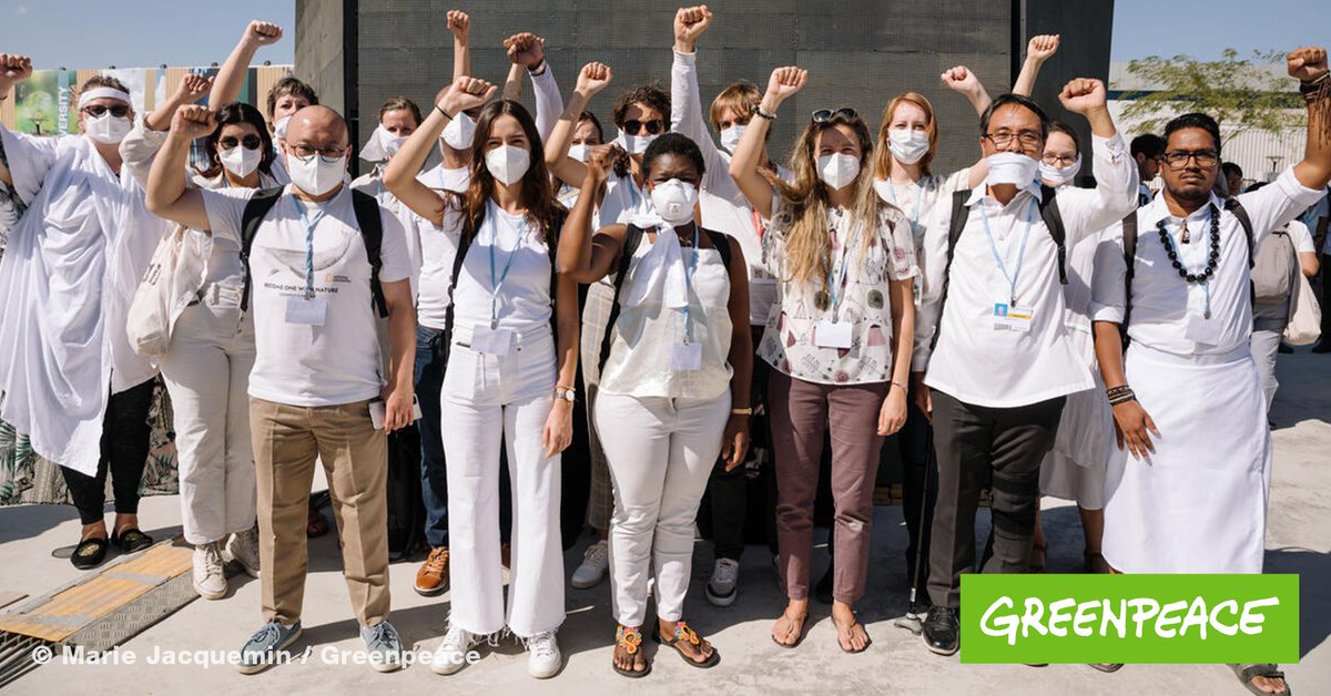 Die Delegierten von Greenpeace und vielen anderen Organisationen setzen heute auf der #COP27 ein Zeichen: Keine Klimagerechtigkeit ohne Menschenrechte! Dazu tragen wir symbolisch weiße Kleidung. Auch Kampaignerin <a href="/lisagoeldner/">Lisa Göldner</a> aus 🇩🇪 ist dabei. #HumanRights #FreeAlaa #FreeThemAll