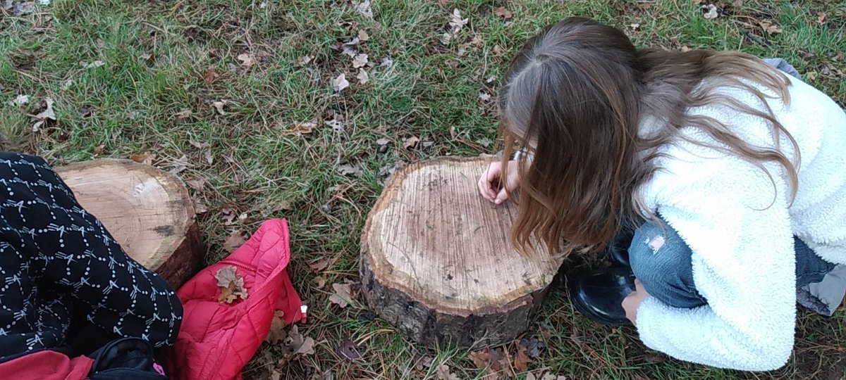 #ClasseDehors.
Connaître l âge de nos assises et reconnaître l'essence d'un arbre grâce à son écorce.