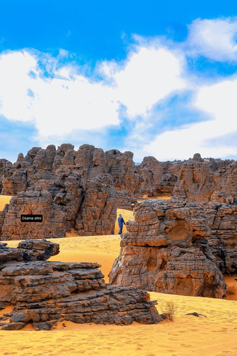 osamathini's tweet photo. أليس هذا الجمال يستحق الحفاظ عليه ! 🇱🇾🌵 
    
#The_desert_of_Libya #Magdith #Wadi_Magdith #Teneri #Beautiful_desert #Beautiful_Libya #The_beauty_of_nature_in_Libya #Ghat #Owainat #sahra #tiniri https://t.co/MrXTpFtirx
