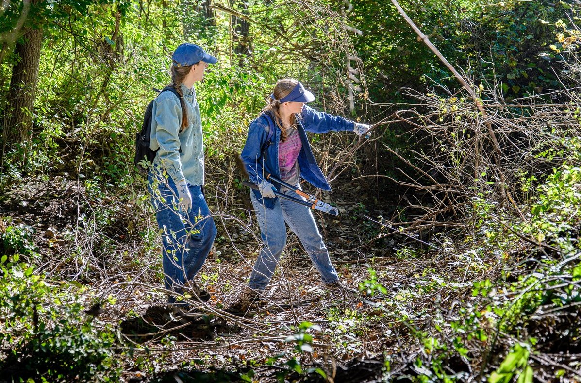 On Thursday, 11/17/22 at 5:30pm, Stark Soil and Water will discuss how to identify invasive plant species, understand their impact on ecosystems and control them.   For more information please call 330-451-7645 or visit StarkSWCD.org.