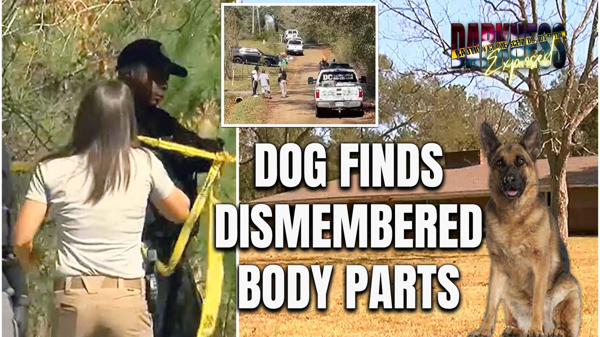 ‼️‼️HUMAN REMAINS FOUND‼️‼️

Dog finds DISMEMBERED BODY PARTS near Abandoned Home in #Jackson #Mississippi 
#BREAKING #Trending #Update #Missing #CrimeNews #CrimeWatch #CrimeStoppers #Awareness 

‼️🔵👇👇🔵‼️
youtu.be/sKREvH4x4fU