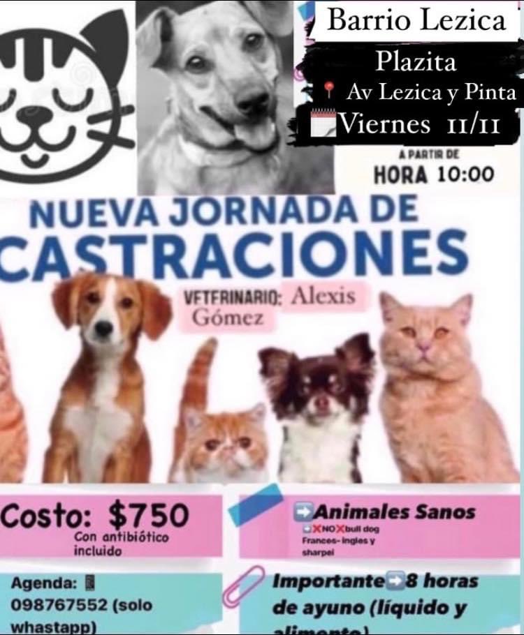 👉Mañana en Lezica❗️❗️❗️