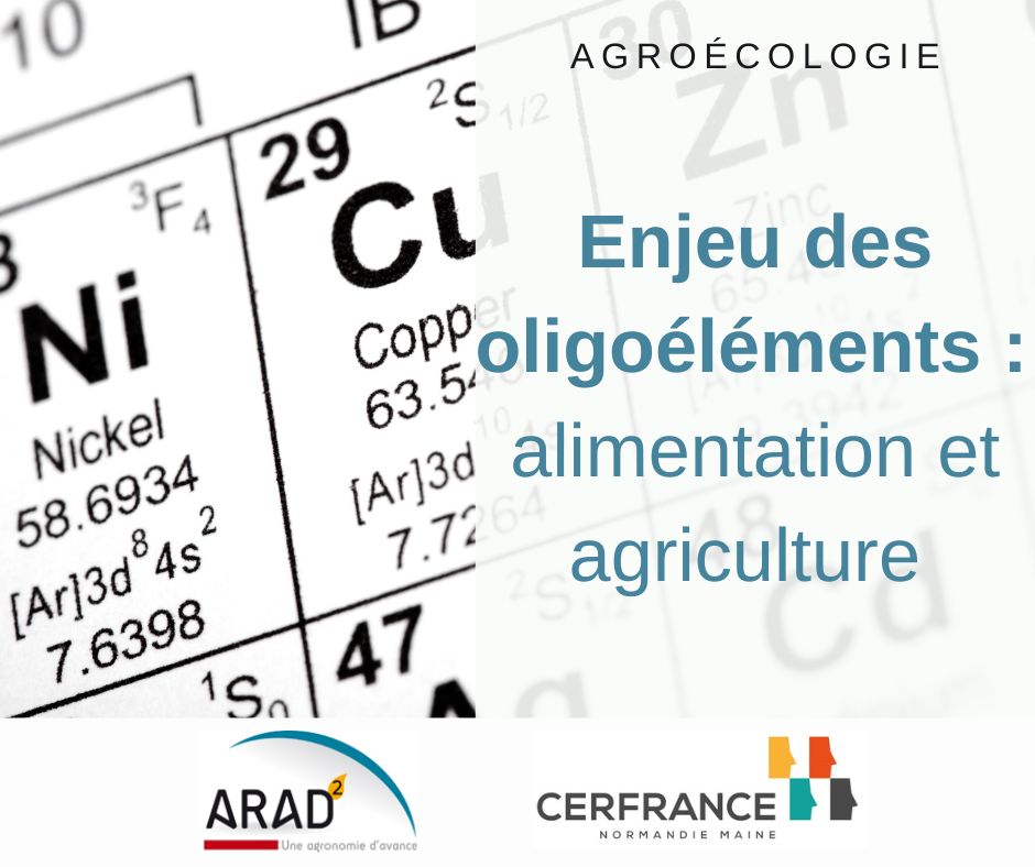 ARAD2_cerfrance's tweet photo. #ARAD2| Oligoéléments, alimentation humaine et production agricole
Peut-on viser l'optimum pour la santé humaine sans impact sur les rendements des cultures ?

En savoir plus ➡️ https://t.co/MofkJzpWr8

@CerfranceOrne @CERFRANCE1450 @Cerfrance_5372 @Cerfrance_sn @perigconsultant https://t.co/Qf9SRGkOGt